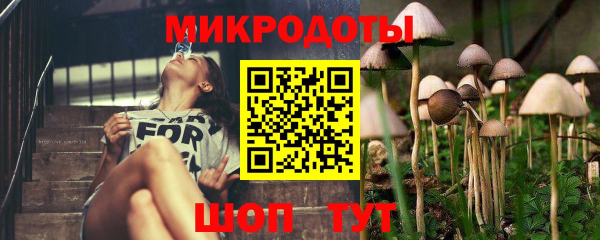 Избербаш  Галлюциногенные грибы Psilocybine cubensis  Вход с VPN 